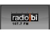 Logo Radio Ibi