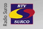 Logo Surco Oldies