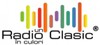 Logo Radio Clasic Strauss