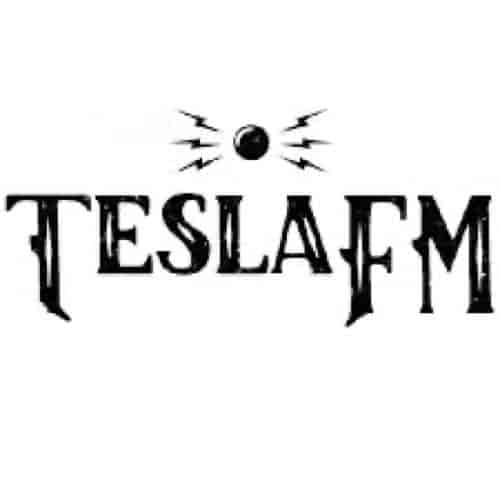 Logo TeslaFM